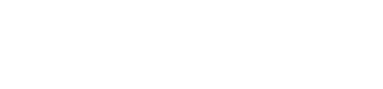 RheinHost